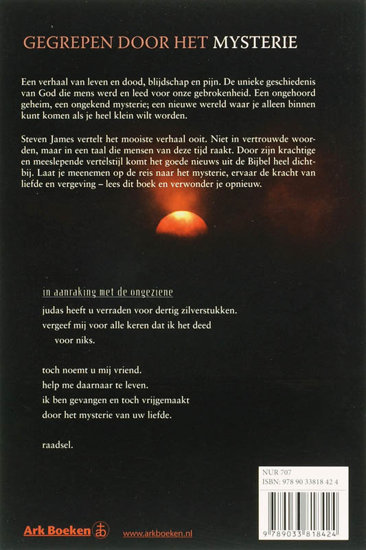 Gegrepen door het mysterie achterkant