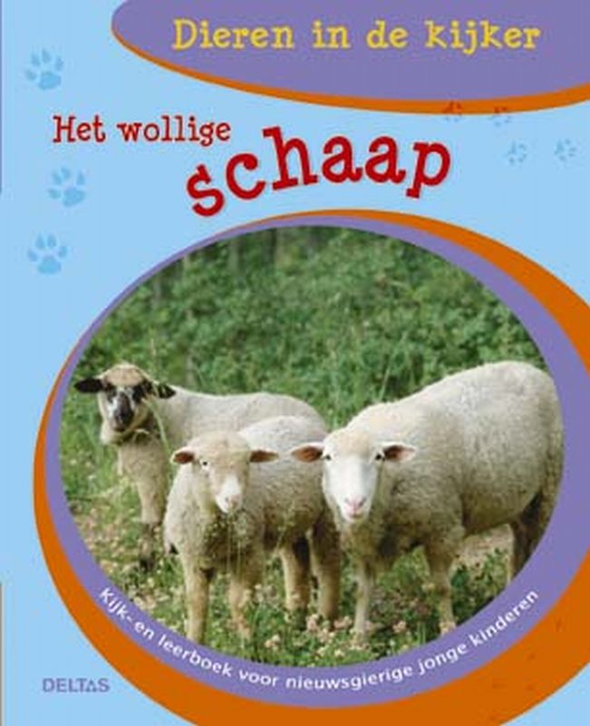 Het Wollige Schaap / Dieren in de kijker / 2