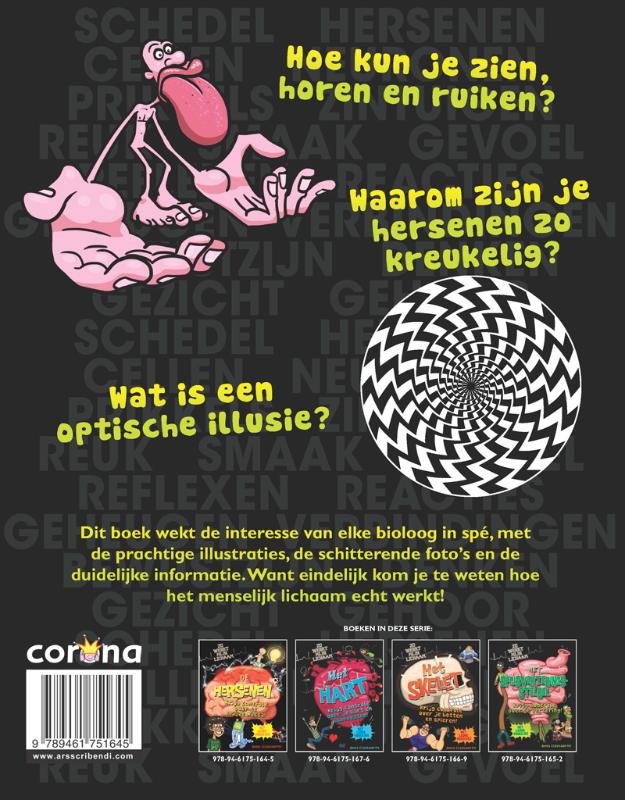 Zo Werkt Mijn Lichaam - De hersenen achterkant
