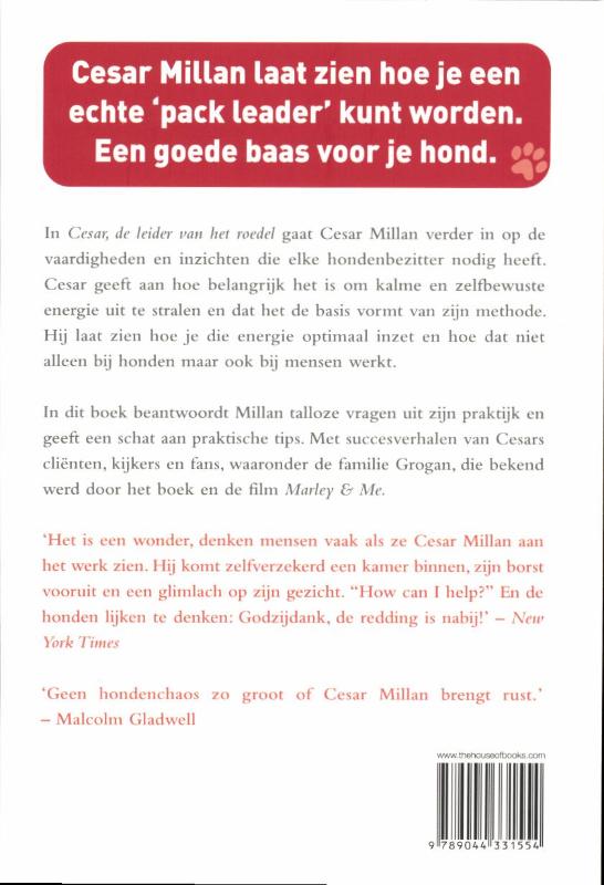 Cesar, de leider van het roedel achterkant