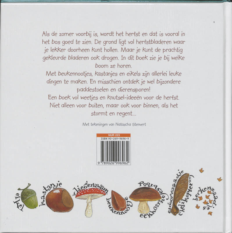 Herfst in het bos achterkant