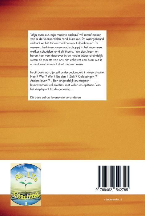 Mijn burn-out, mijn mooiste cadeau ... achterkant
