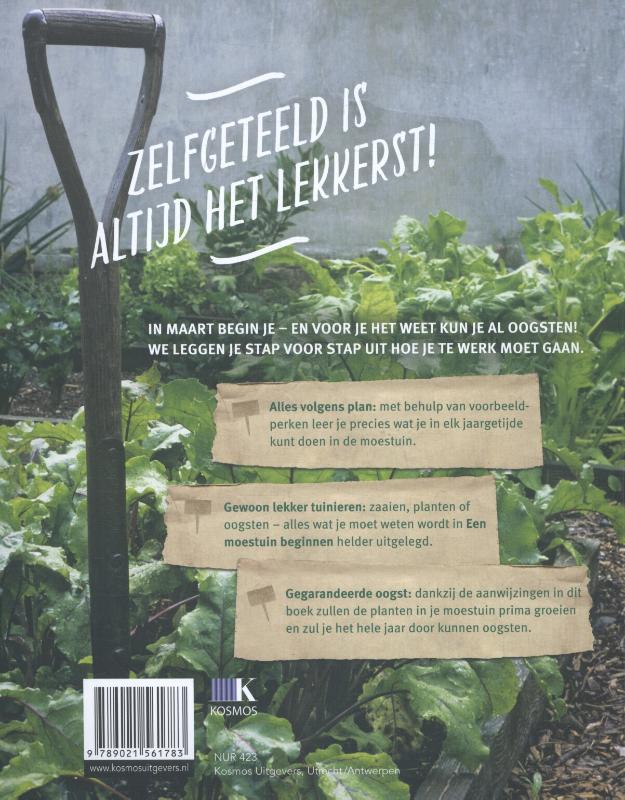 Een moestuin beginnen achterkant