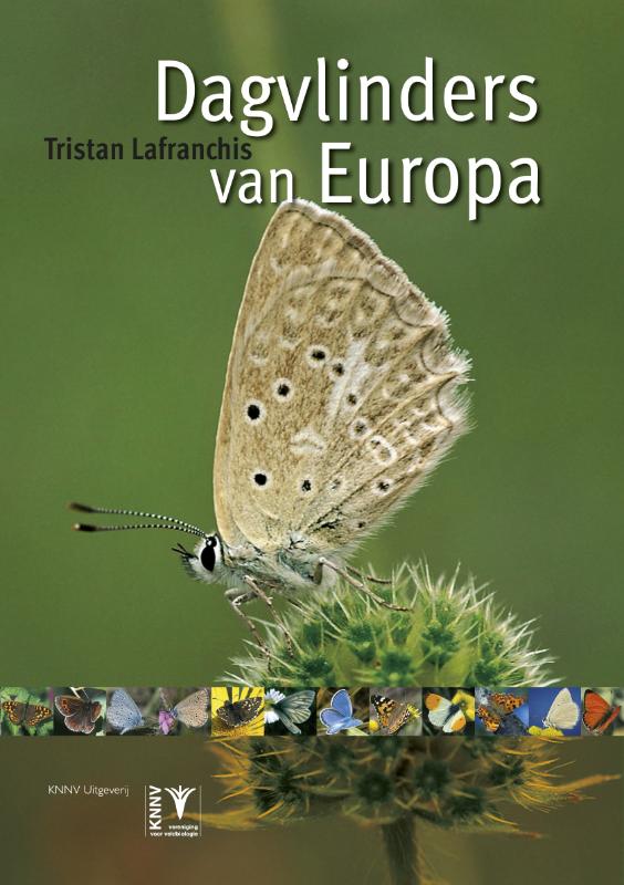 Dagvlinders van Europa