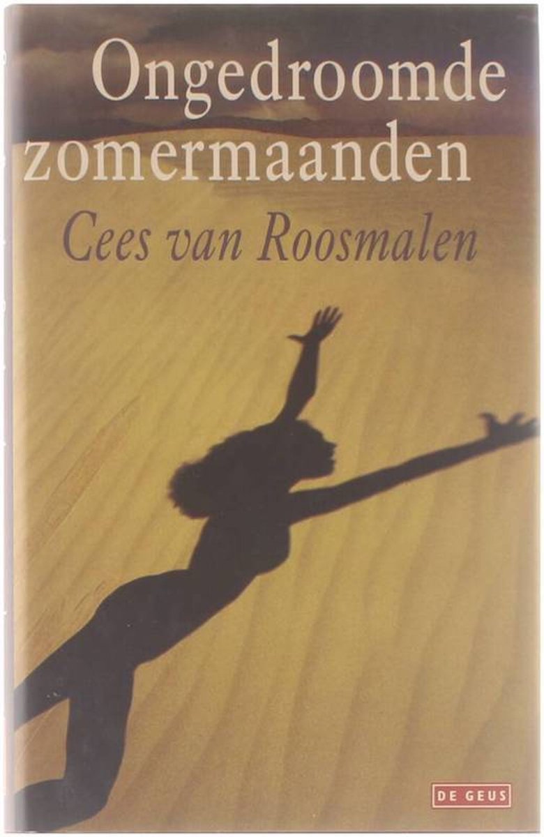 Ongedroomde zomermaanden : roman