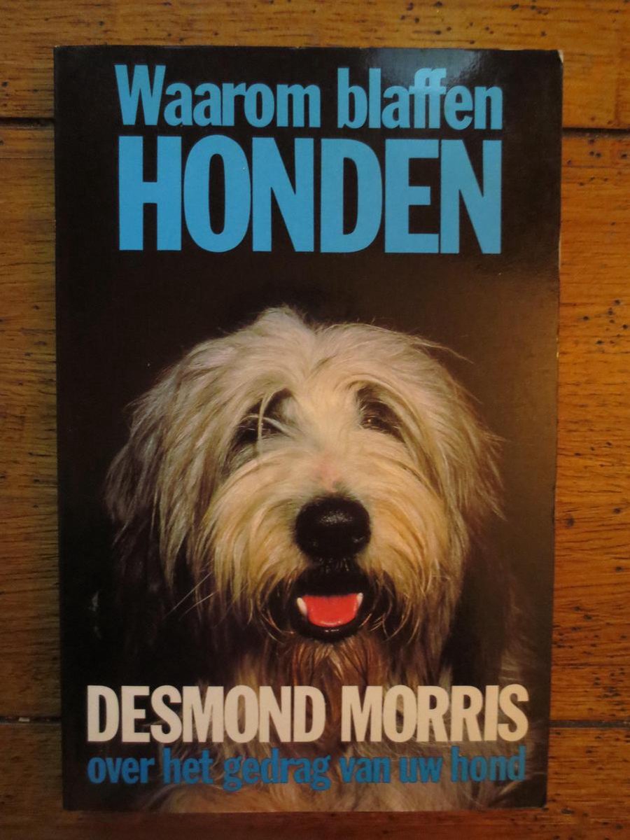 Waarom blaffen honden