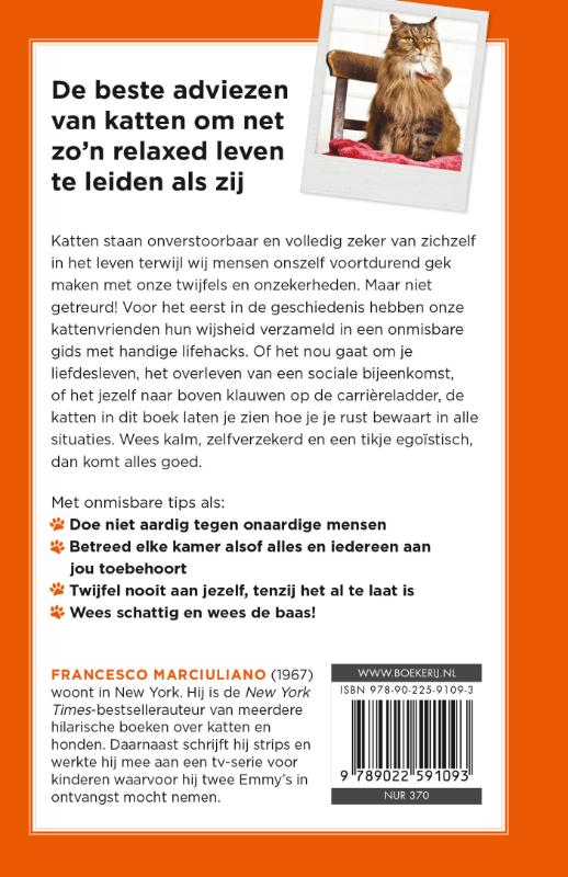 Doe vaker een dutje achterkant