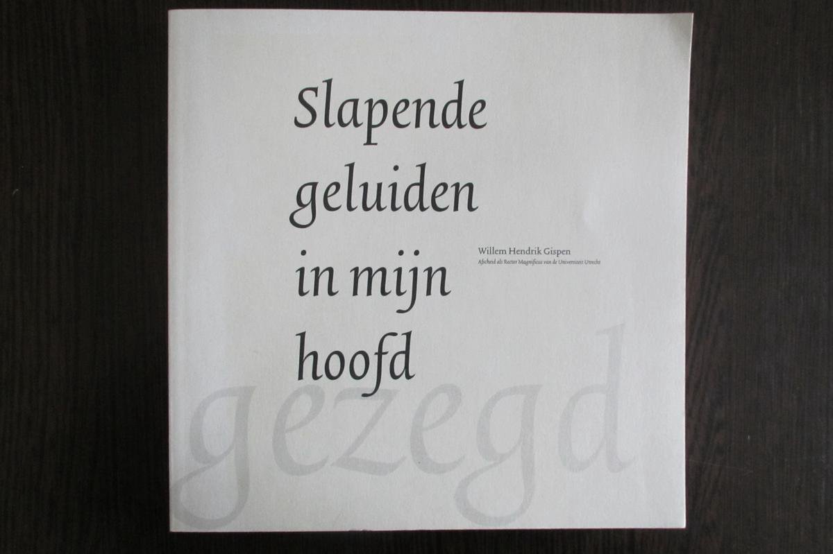 Slapende geluiden in mijn hoofd