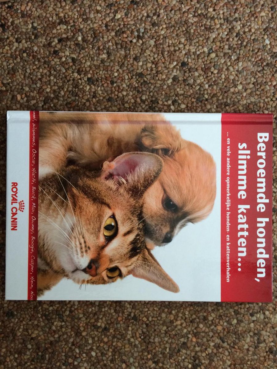 Beroemde honden, slimme katten ...