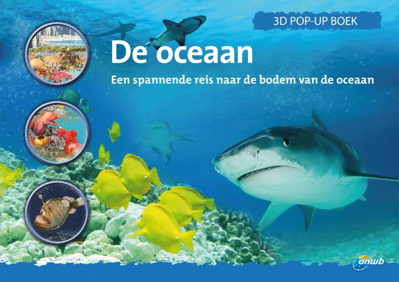 De oceaan