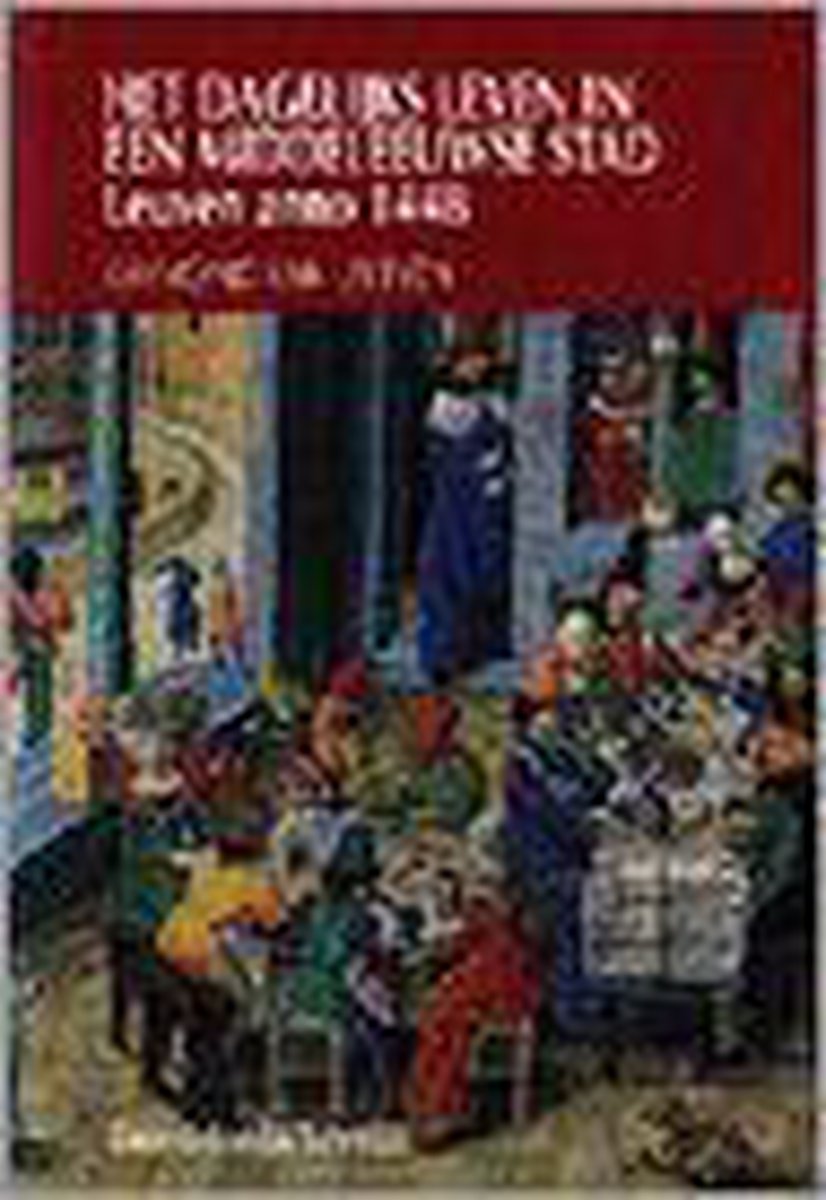 Het dagelijks leven in een middeleeuwse stad / Historische reeks Davidsfonds / 43