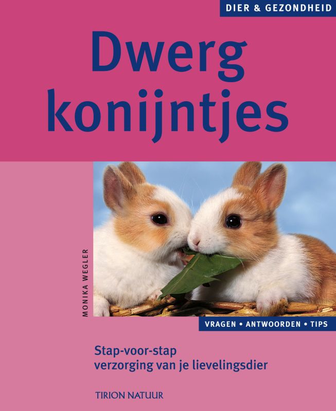 Dwergkonijntjes / Dier & Gezondheid