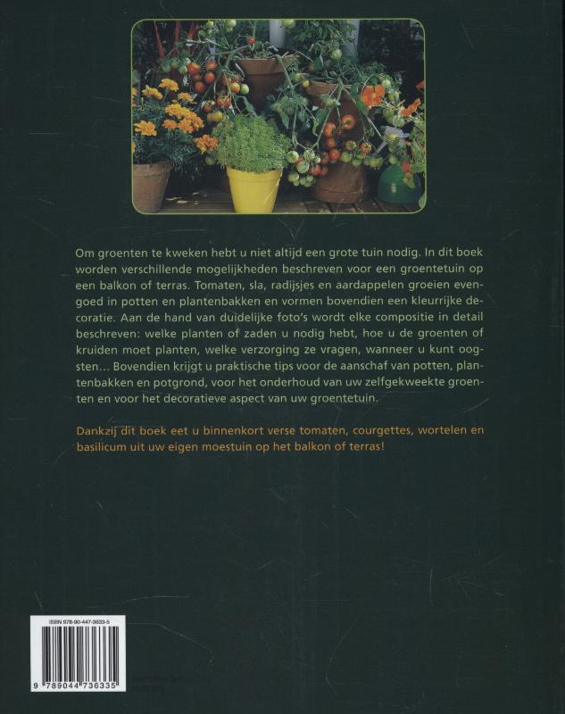 Een kleine groentetuin in potten en bakken achterkant