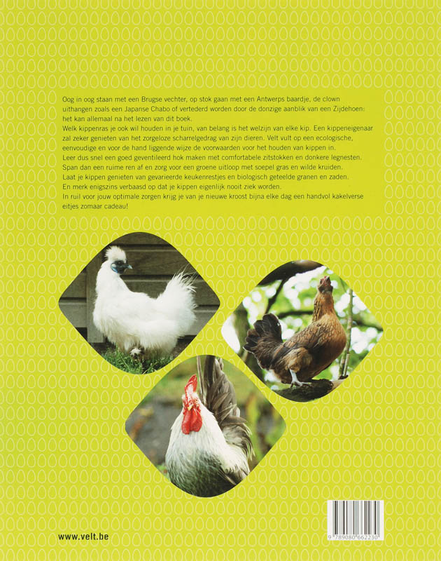 Het ecologisch houden van kippen achterkant