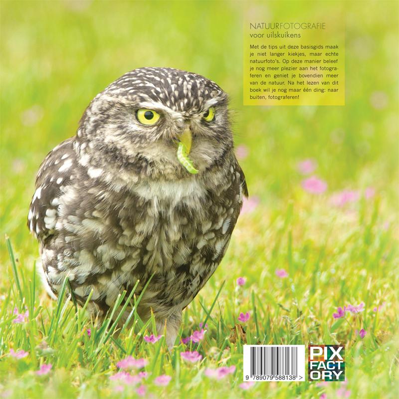 Natuurfotografie voor uilskuikens achterkant