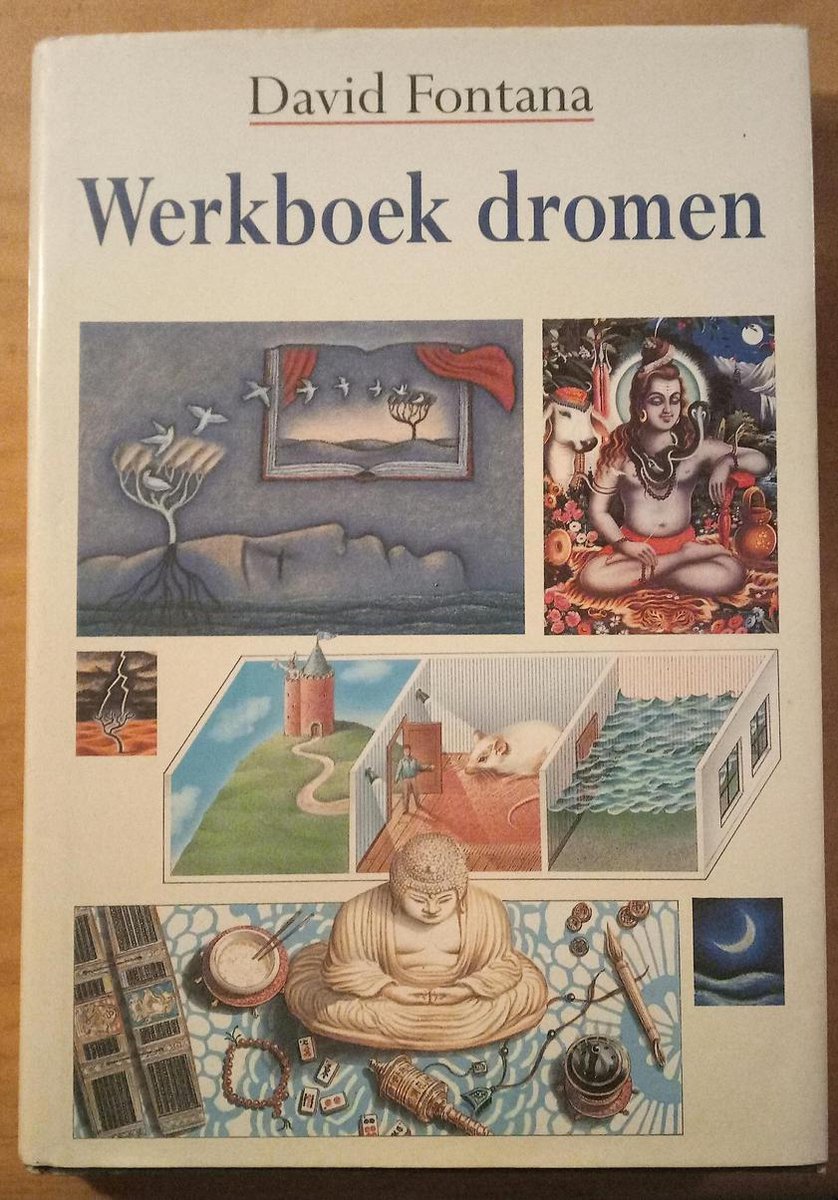 WERKBOEK DROMEN