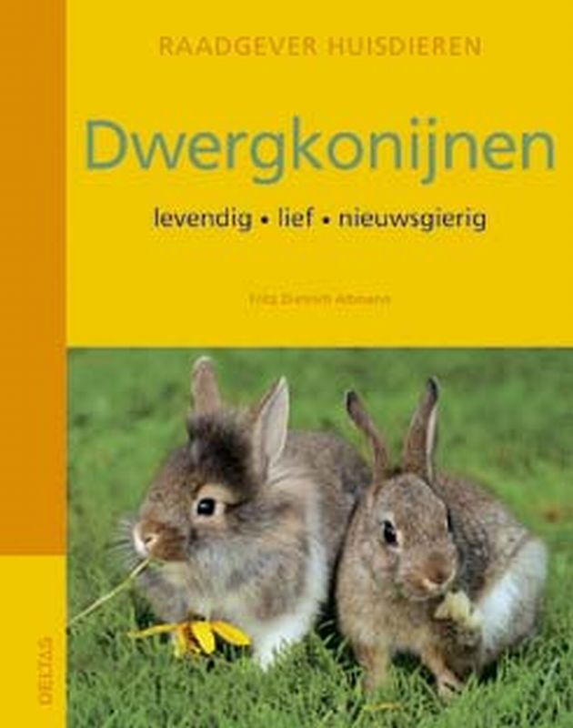 Dwergkonijnen / Raadgever huisdieren