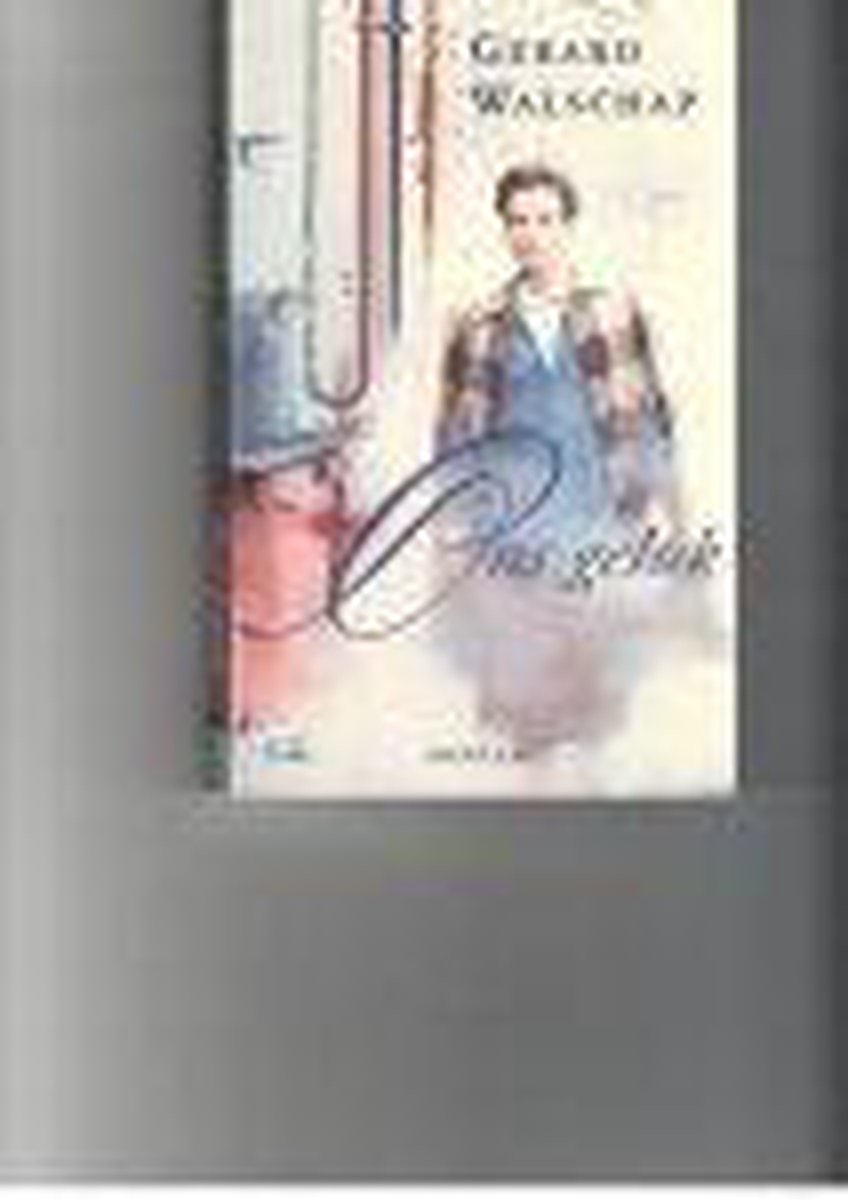 Ons geluk - Gerard Walschap