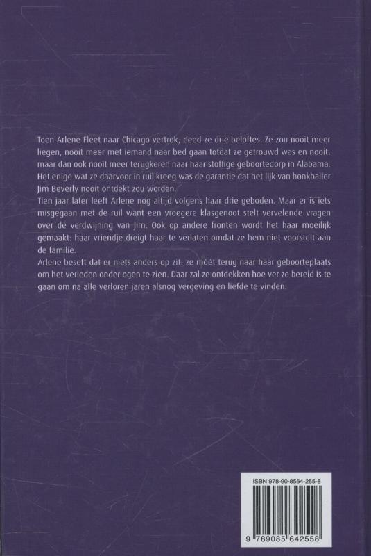 De drie beloftes van Arlene - Joshilyn Jackson achterkant