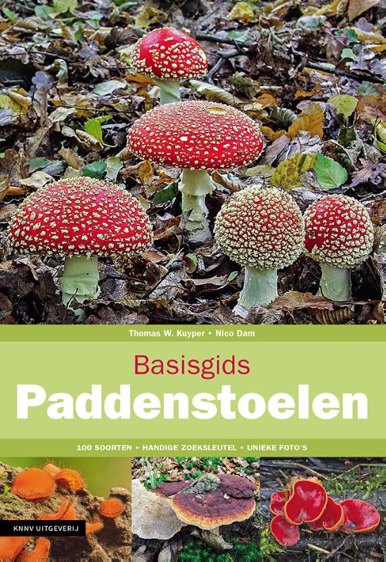 Basisgids Paddenstoelen / Basisgids