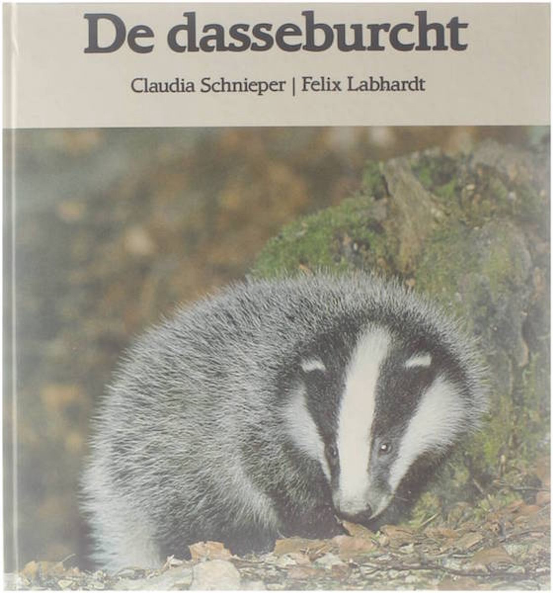 De dasseburcht