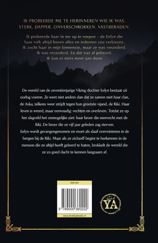 De hemel in het ijs achterkant