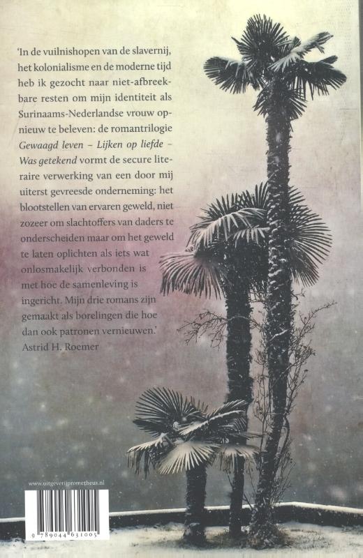 Onmogelijk moederland achterkant