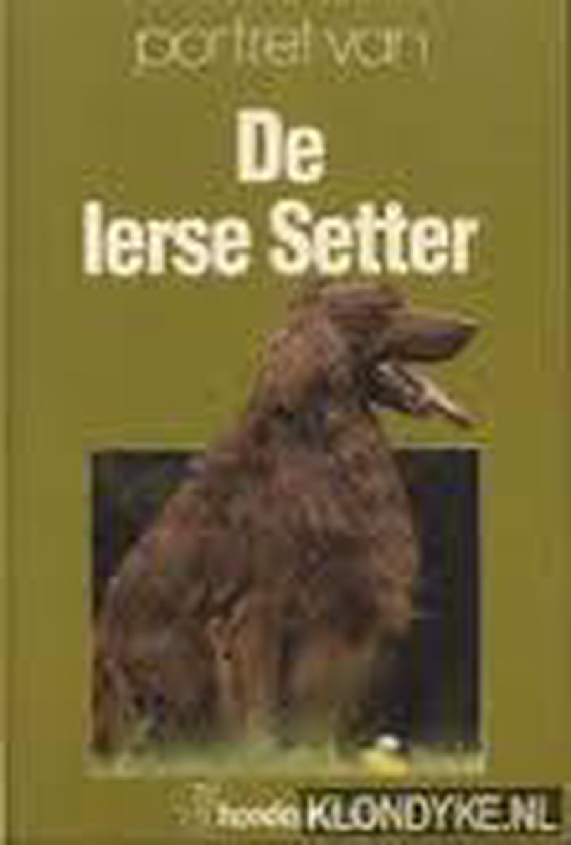 Ierse setter