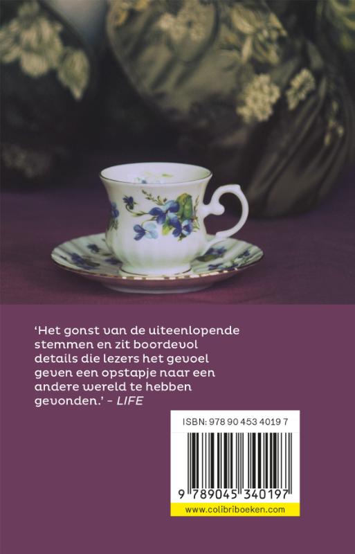 Vrouw van de keukengod achterkant