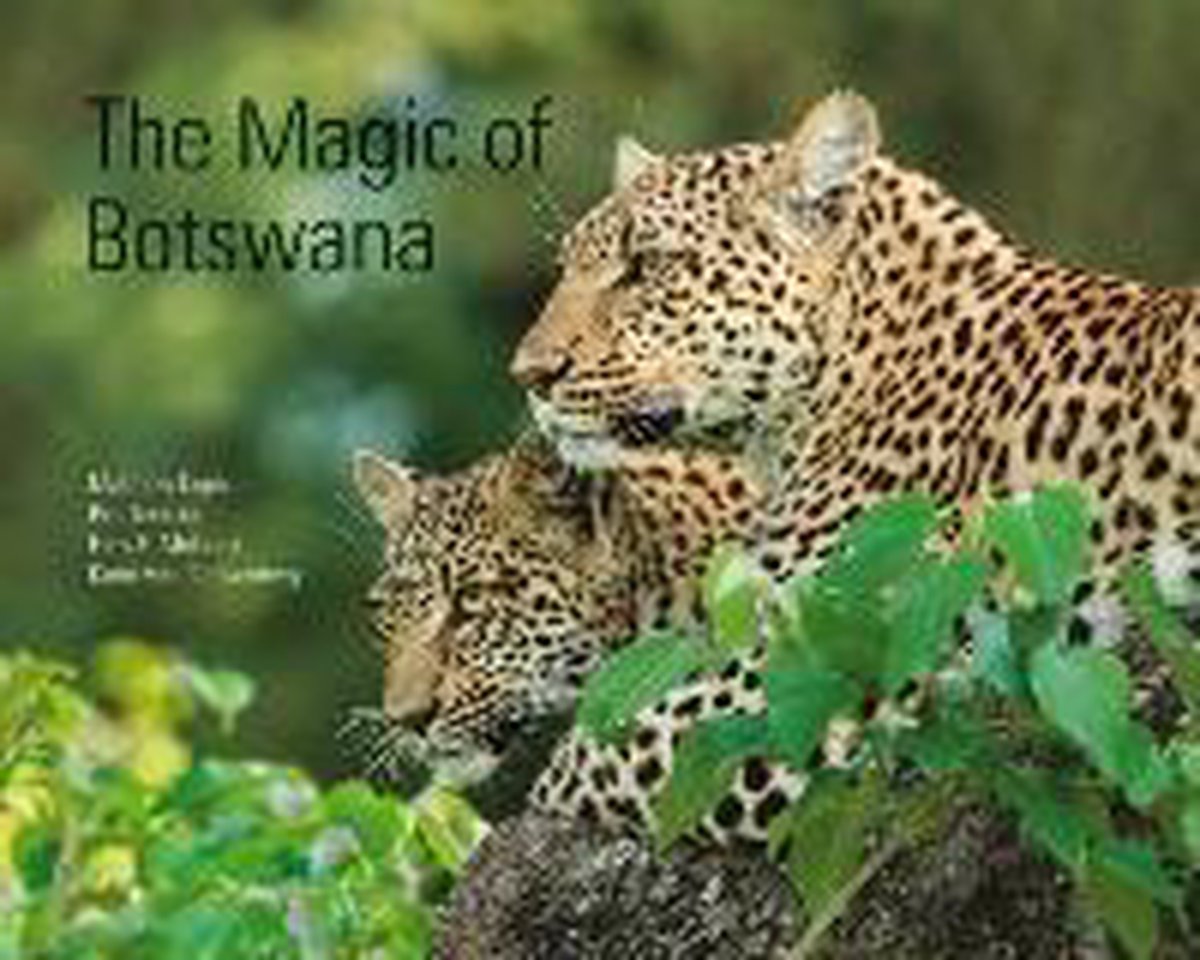 The magic of botswana