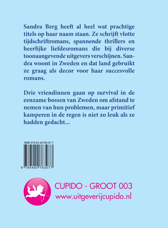 Reis naar het noorden / Cupido biebpub / 003 achterkant