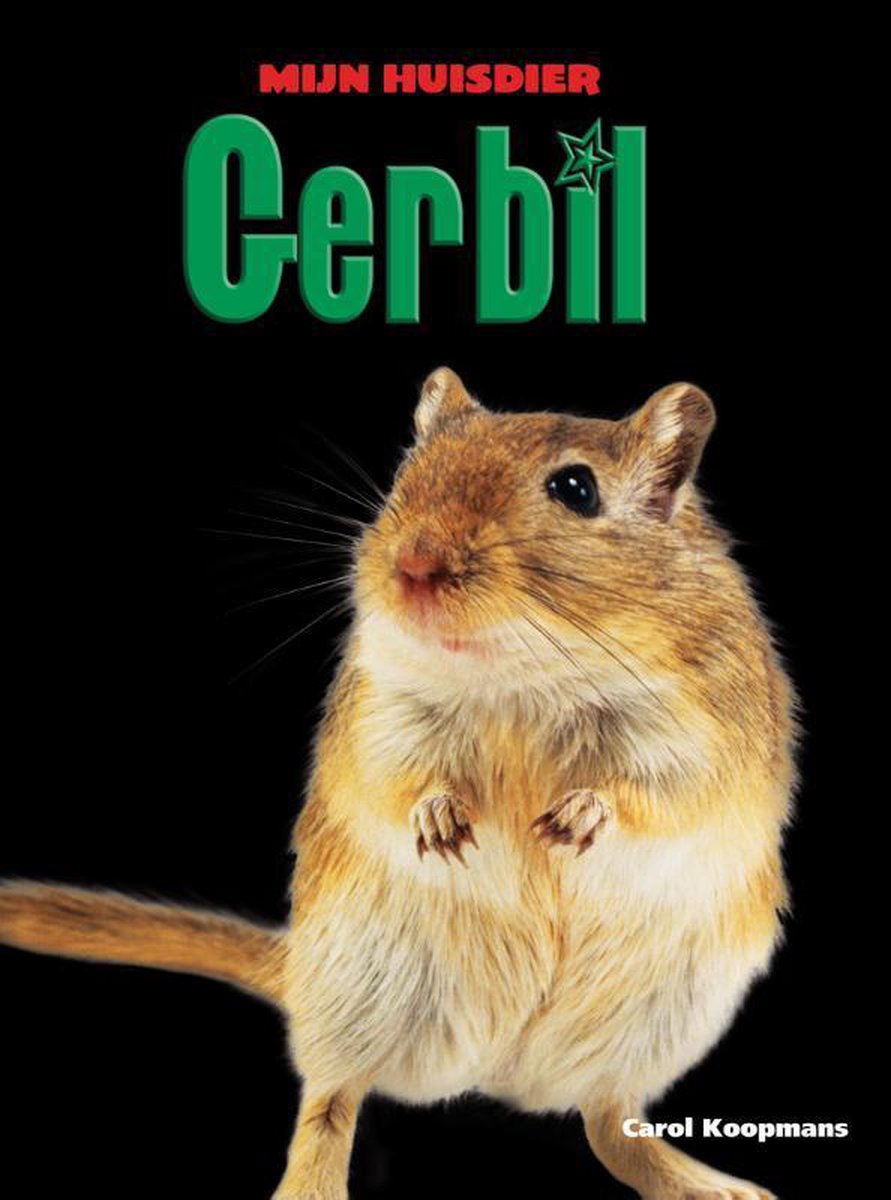 Gerbil / Mijn Huisdier