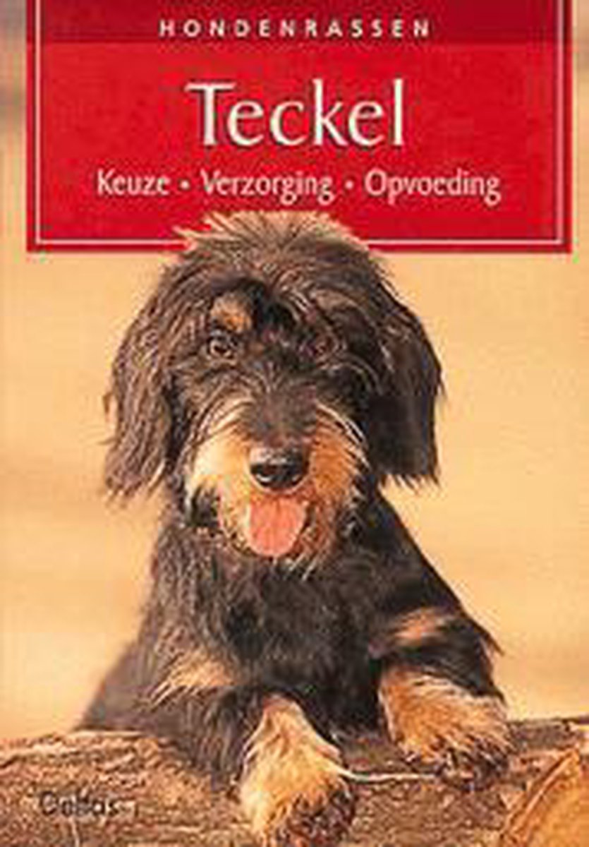 Teckel / Hondenrassen