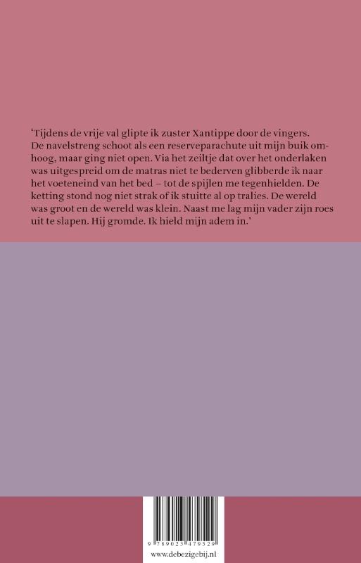 De tandeloze tijd  -   Vallende ouders achterkant