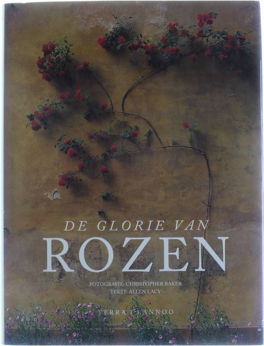 De glorie van rozen