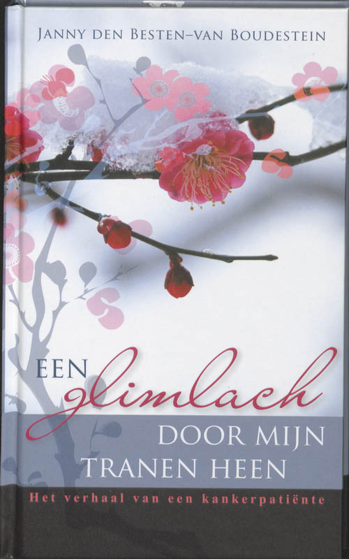 Een Glimlach Door Mijn Tranen Heen