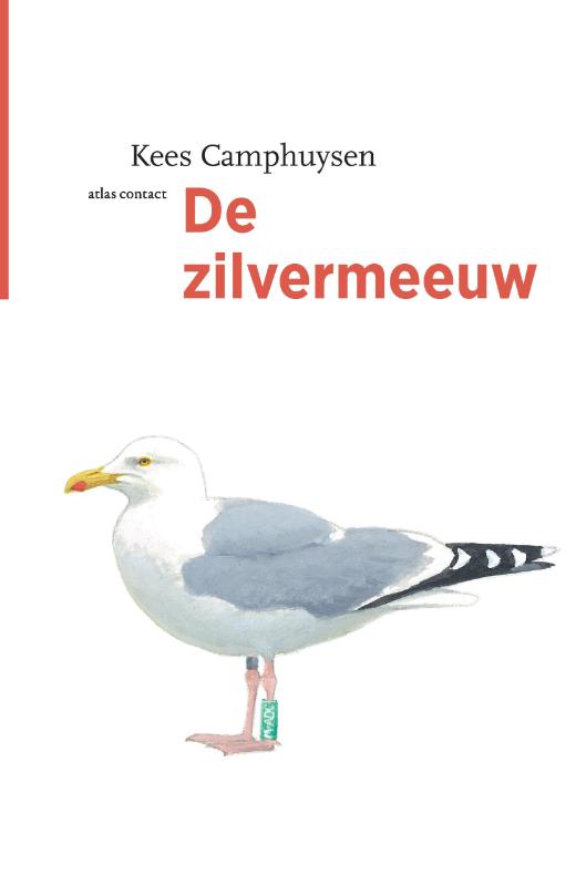 De vogelserie 12 -   De zilvermeeuw