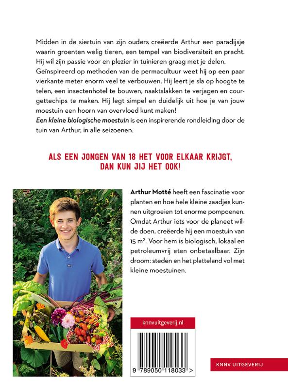 Een kleine biologische moestuin achterkant