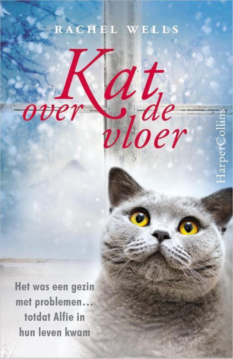 Kat over de vloer