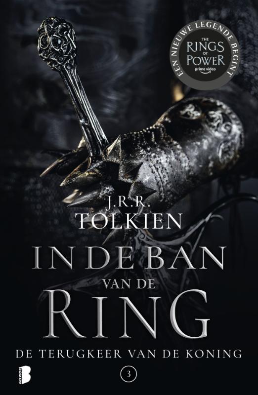 In de ban van de ring 3 -   De terugkeer van de koning