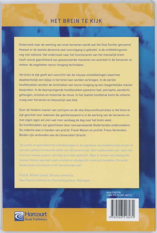 Het brein te kijk achterkant