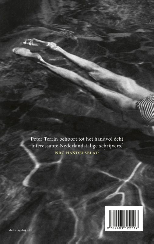 Al het blauw achterkant