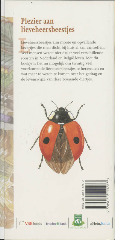 Lieveheersbeestjes in beeld achterkant