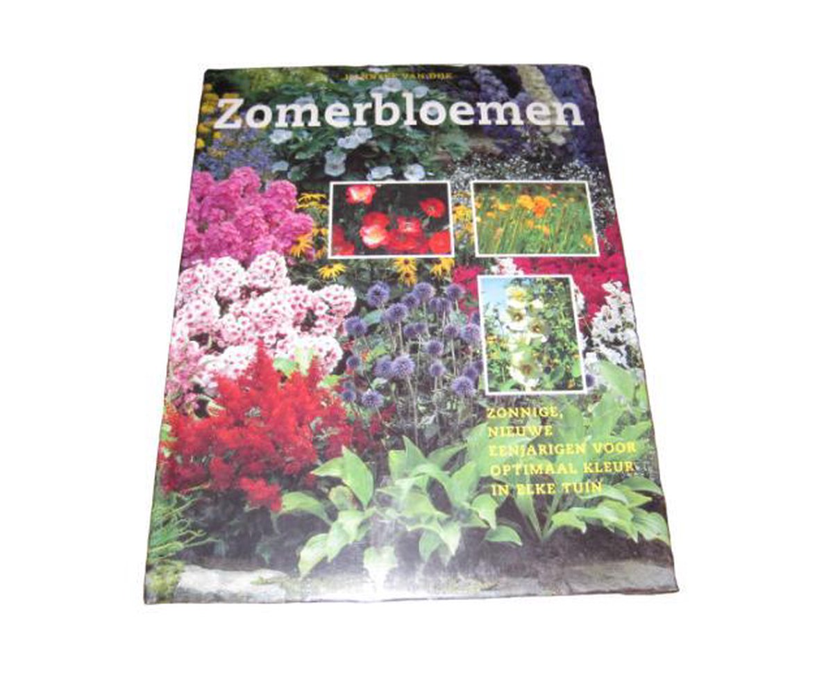 Hanneke van Dĳk | Zomerbloemen