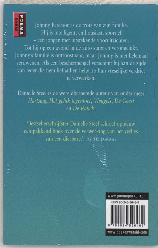 Beschermengel achterkant