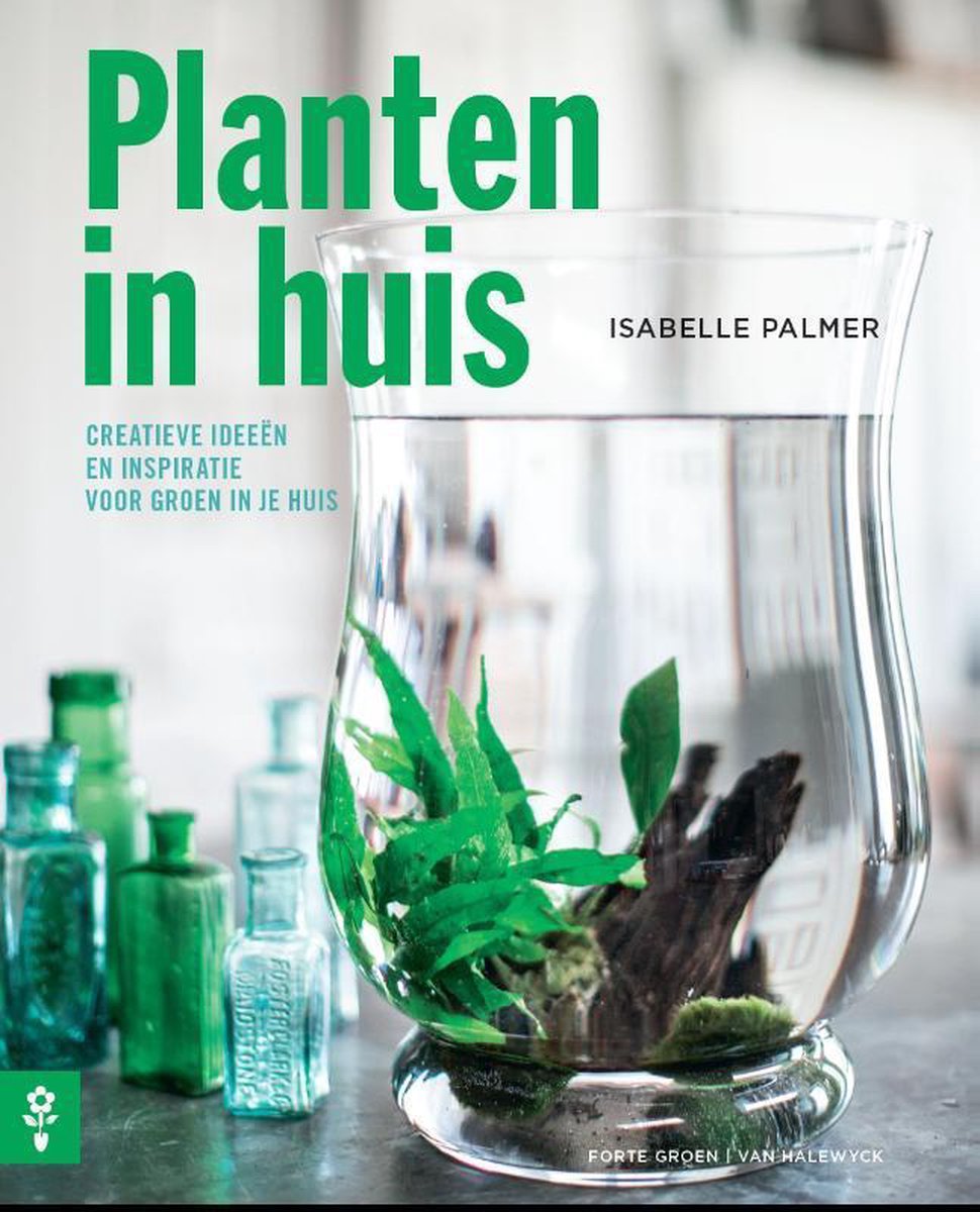 Planten in huis