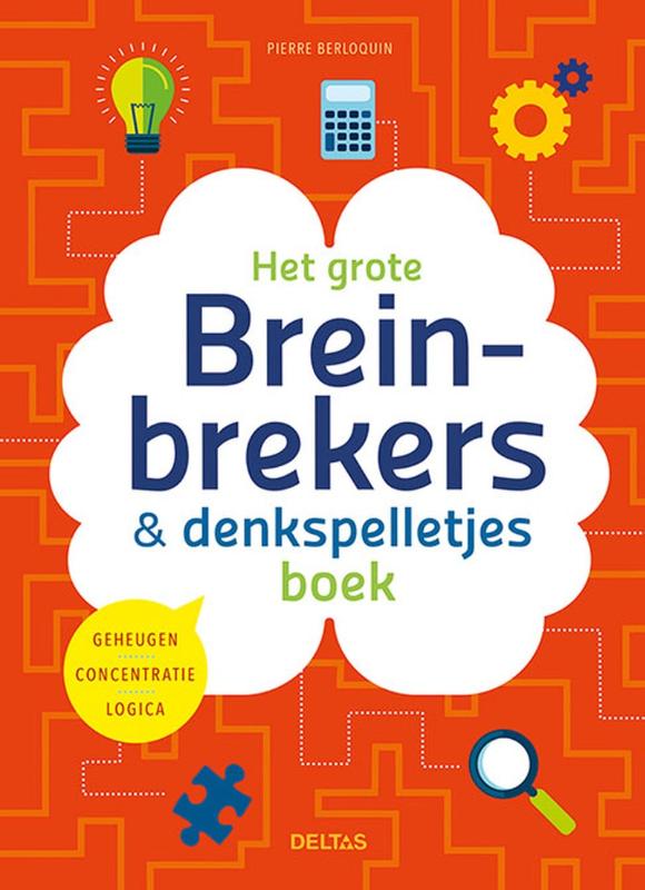 Het grote breinbrekers en denkspelletjes boek