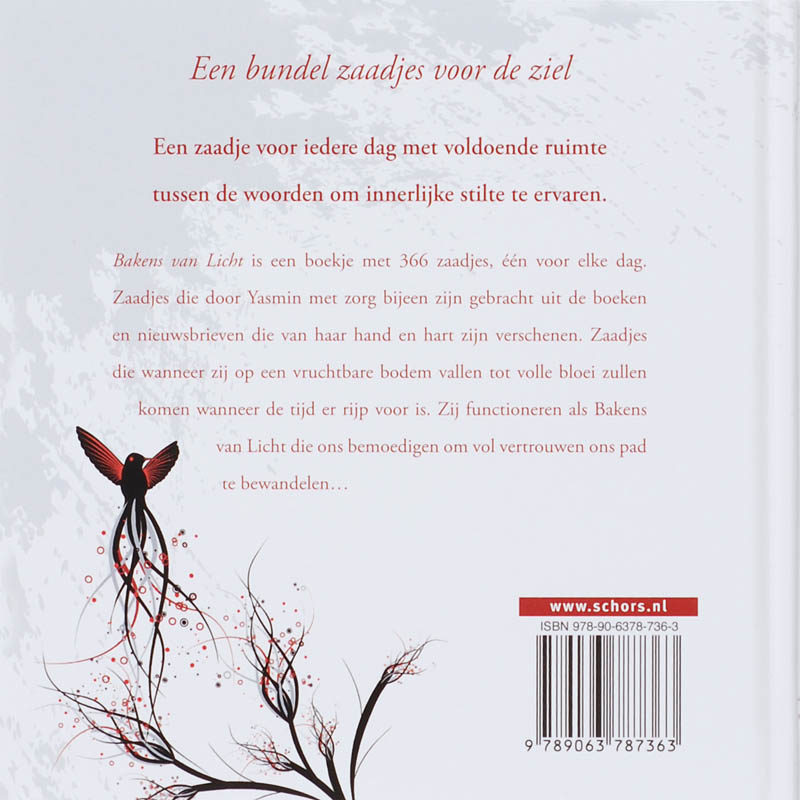 Bakens Van Licht achterkant