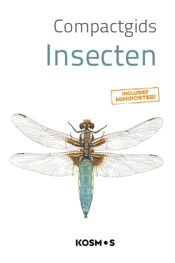 Insecten / Compactgids