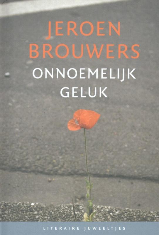 Onnoemelijk geluk / Literaire Juweeltjes
